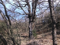 anobello-04032012 096